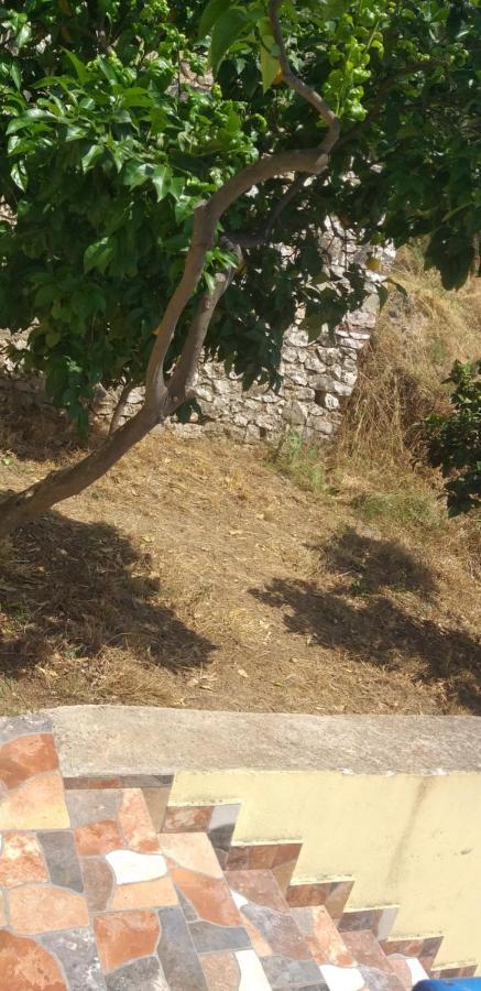 Holidays In Saranda Kültér fotó